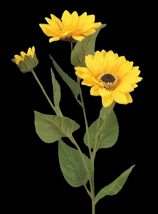 Sunflower Spray x 3
25"