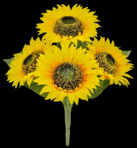 Sunflower x 4
11", 5" Blooms