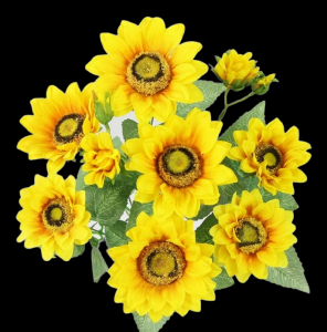 Sunflower x 9
18", 3.5" - 5" Blooms