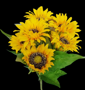Sunflower x 9
19", 3.5" - 4" Blooms