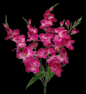 Violet Gladiolus x 5 
28"