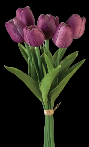 Violet Tulip Bundle x 7 
12"