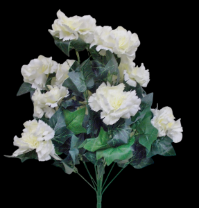 White Carnation x 12 
21"