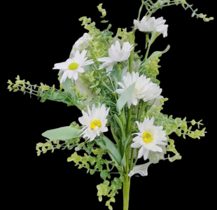 White Daisy Boxwood Bouquet 
22"