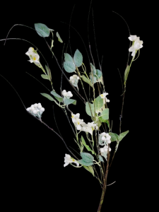 White Flower Berry Branch
42"
