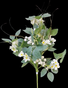 White Flower Berry Bush
24"