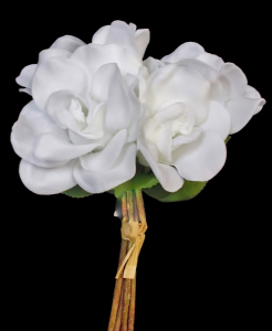 White Gardenia Bundle x 5 
12"