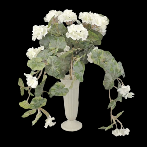 White Geranium with Vines x 12 
20"