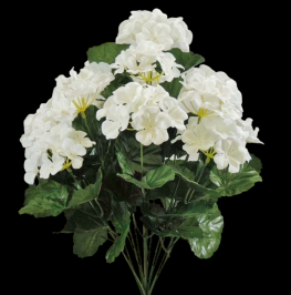 White Geranium x 14 
17"