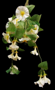 White Hanging Petunia Vine x 14 
24"