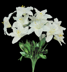 White Lily x 12 
18"