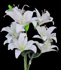 White Lily x 9 
22"