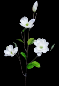 White Magnolia Spray
29"