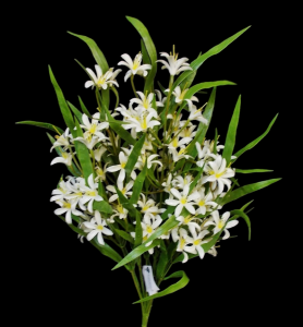 White Mini Lily x 9 
21"