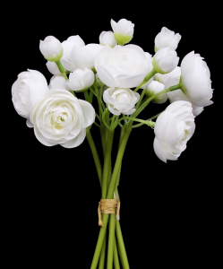 White Mini Ranunculus Bundle x 6
10"