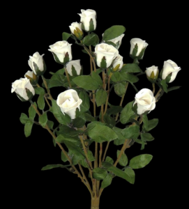 White Mini Rose Bush x 11
16"