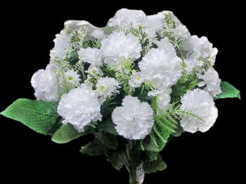 White Mixed Baby Carnation x 16 
14"