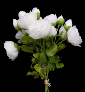 White Ranunculus Bundle x 3
16"