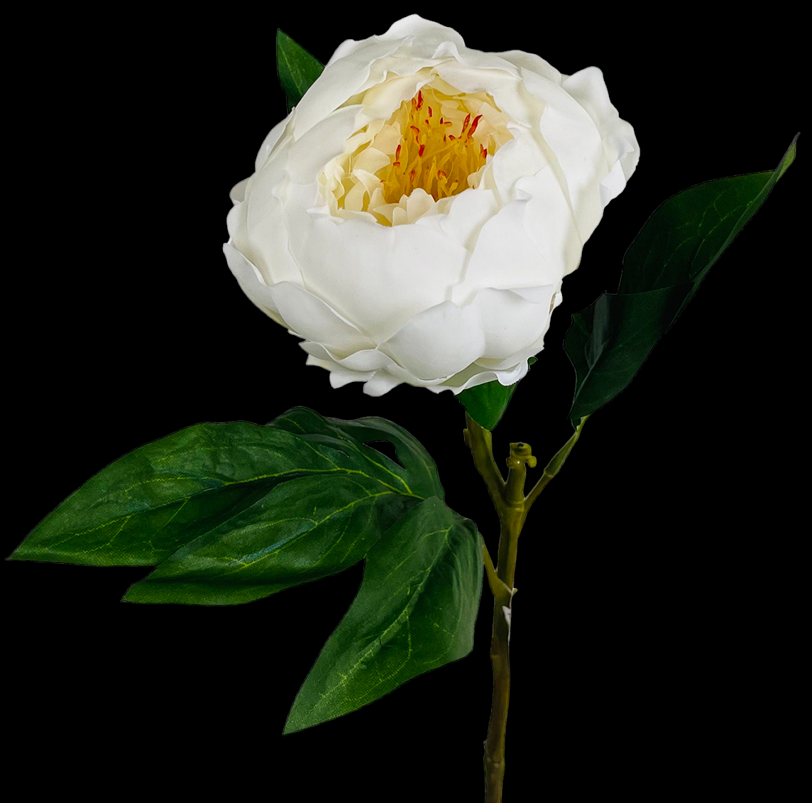 White Real Touch Peony 
22"
