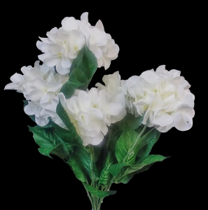 White Regal Hydrangea x 7 
22"