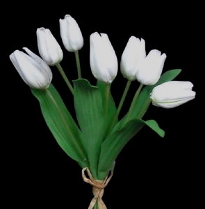 White Tulip Bundle x 7
15"