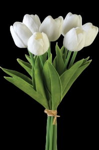  White Tulip Bundle x 7
12"