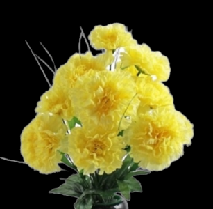 Yellow Carnation x 14 
18"