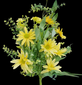 Yellow Daisy Boxwood Bouquet 
22"