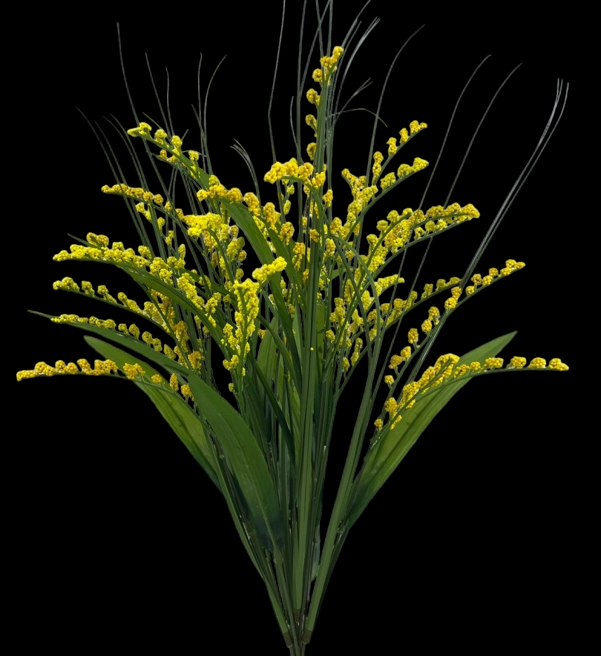 Yellow Filler Grass Bush x 12
24"
