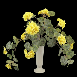Yellow Geranium with Vines x 12 
20"