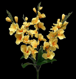 Yellow Gladiolus x 5 
28"