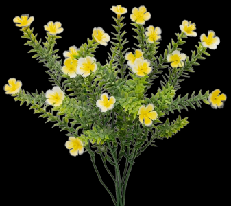 Yellow Grass Spike Flower Bush 
14"