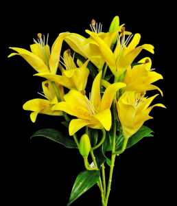 Yellow Lily x 9 
22"