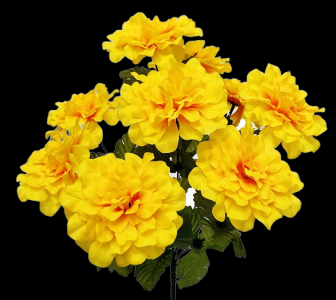 Yellow Marigold x 9 
16"