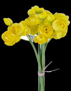 Yellow Mini Ranunculus Bundle x 6
11"