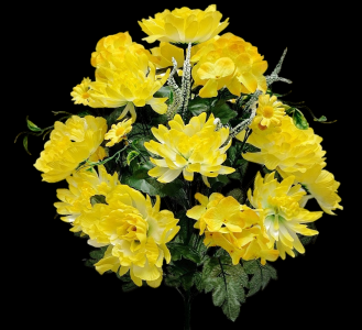Yellow Mixed Peony Mum Hydrangea x 24 
25"