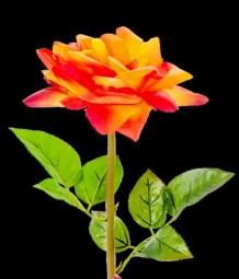 Yellow/Orange Real Touch Large Bloom Open Rose Stem
26", 6" Bloom