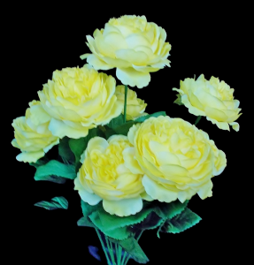 Yellow Ranunculus x 9 
17"