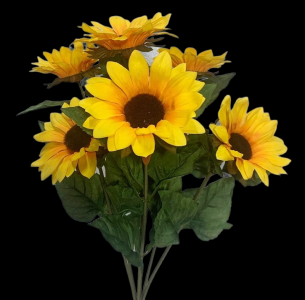 Yellow Sunflower x 7 
21", 5" Blooms