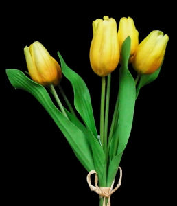Yellow Tulip Bundle x 7
15"