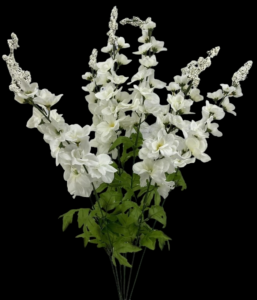 Cream/White Delphinium Bush x 8 
28"