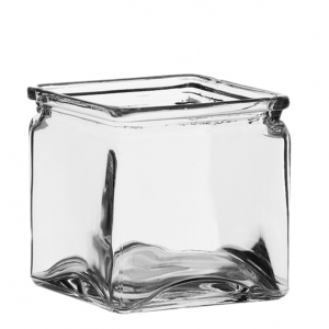 Syndicate Clear Cube With Lip S/12
6" 3060
