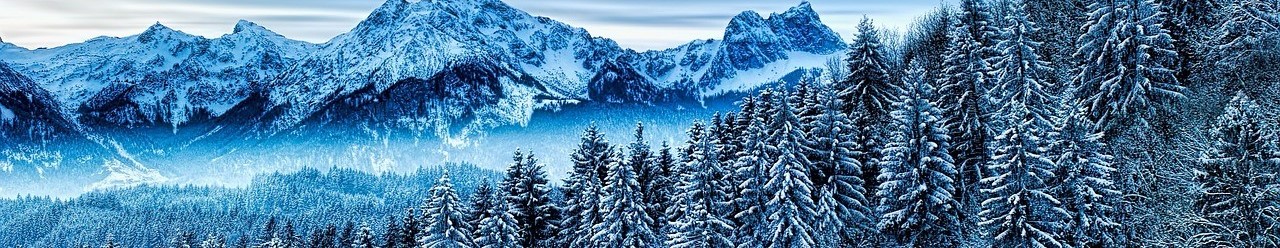 WINTER FOREST MOUNTAIN
