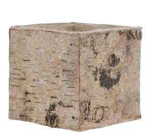 Birch Bark Abaca Cube with Liner
3 Sizes 