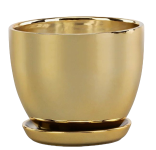 Gold Ceramic Planter with Saucer 
2 sizes 