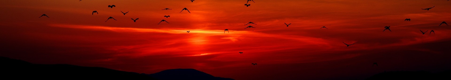 MOUNTAIN SUNSET WITH BIRDS