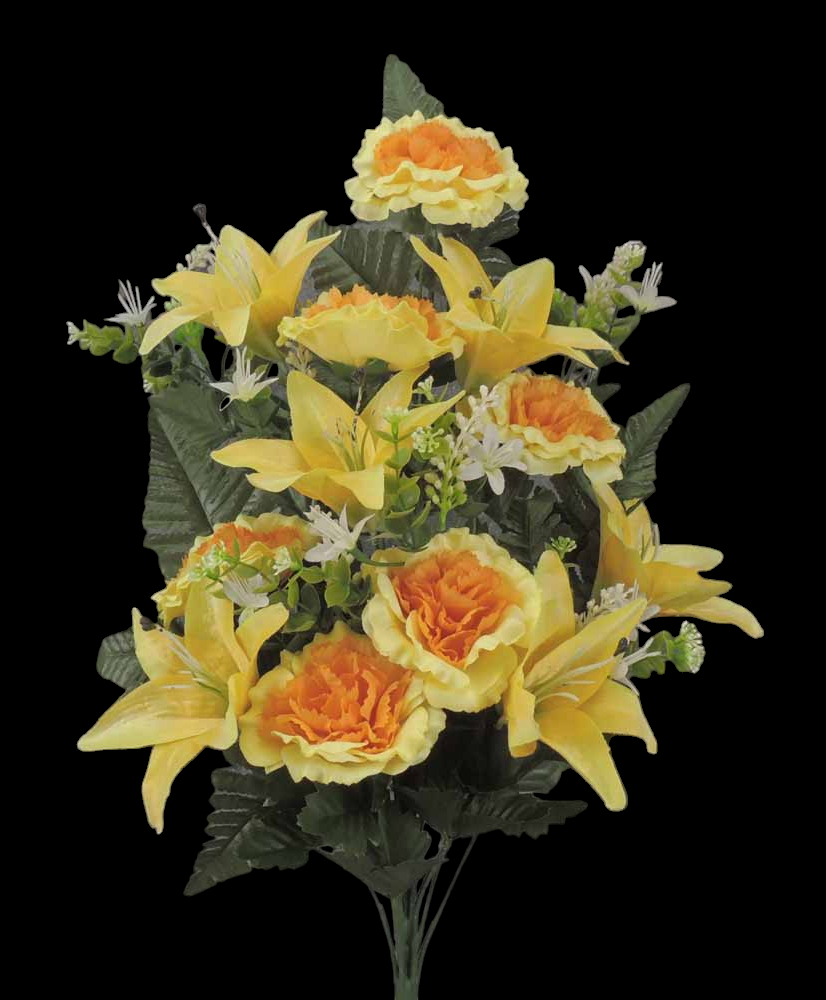 Yellow Cabbage Rose Lilly Half Bush x 18  24"  689490.YE