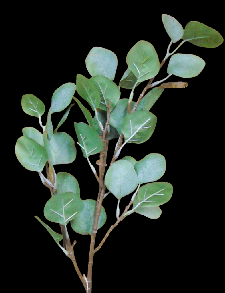 Eucalyptus Silver Dollar Stem 26"
78297