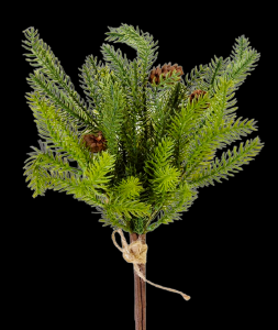 Mountain Pine Bundle with Pine Cones
17" 979137