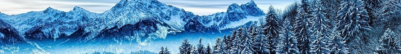 WINTER-FOREST-MOUNTAIN-